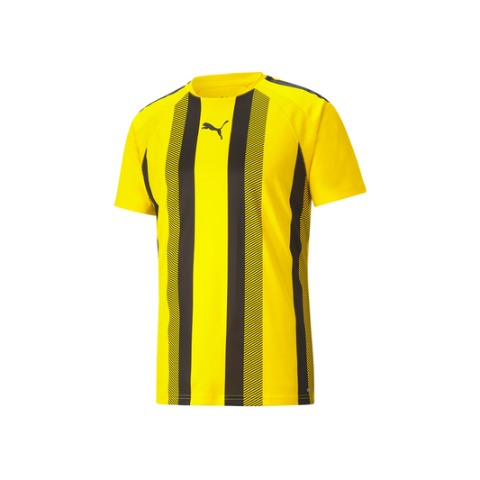 Puma YOUTH Liga Stripe Jersey-Yellow