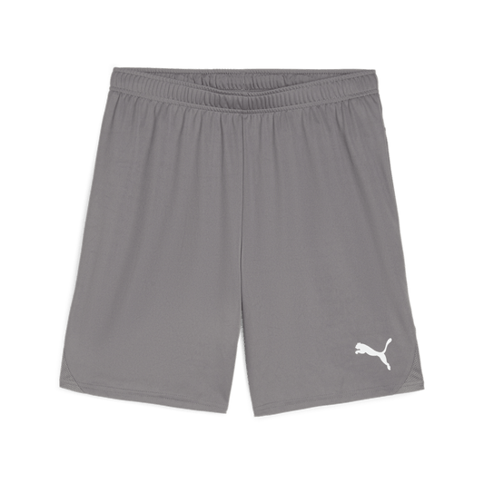 Puma Team Goal Shorts-Cast Iron-Puma White