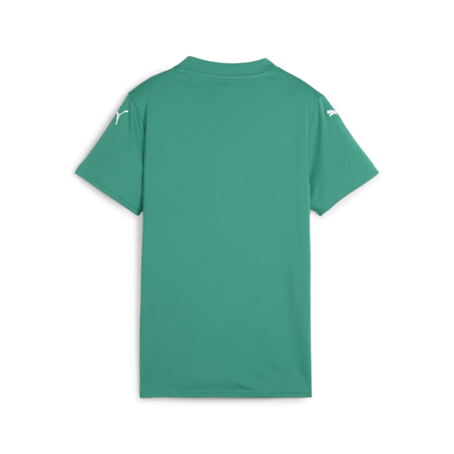 Puma Women's Team Glory 26 Jersey-Sport Green-Puma White-Power Green (Back)
