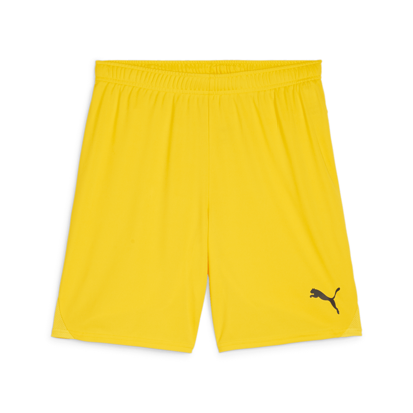 Puma Men's Team Goal Shorts