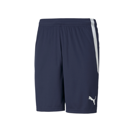 Puma Youth Team Liga 25 Shorts