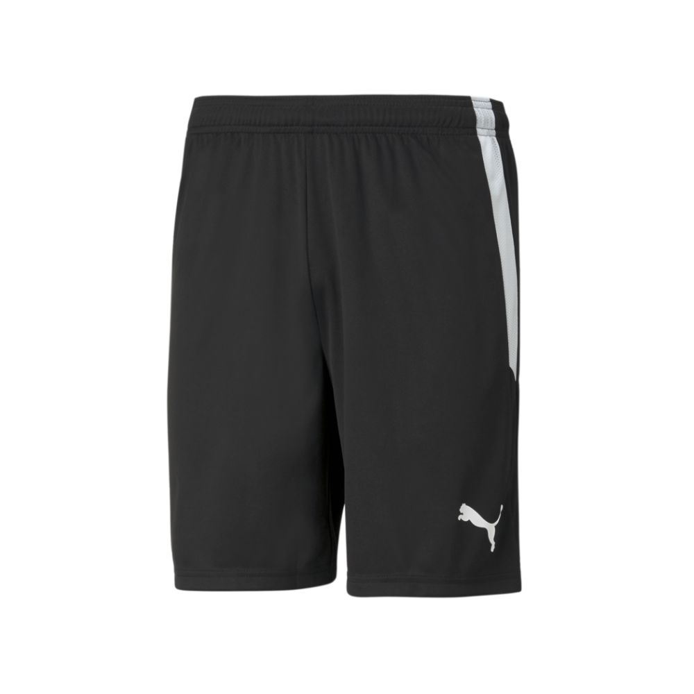Puma Men's Team Liga 25 Shorts