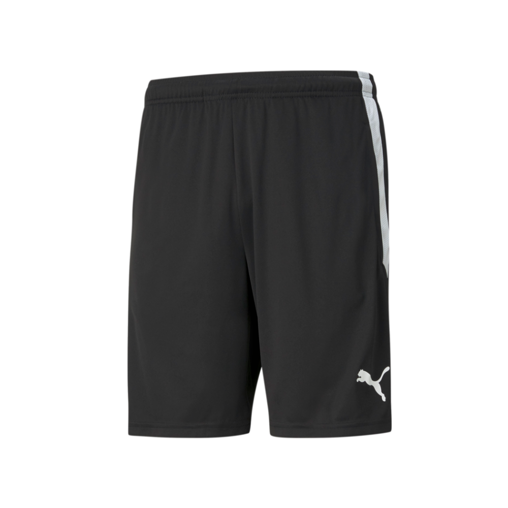 Puma Team Liga 25 Training Shorts-Black