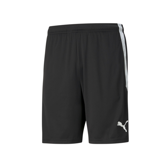 Puma Team Liga 25 Training Shorts-Black