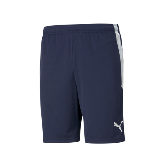 Puma Team Liga 25 Training Shorts-Navy
