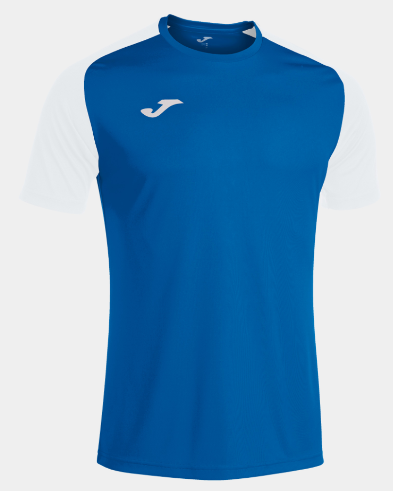 Joma Academy IV Jersey-Royal/White