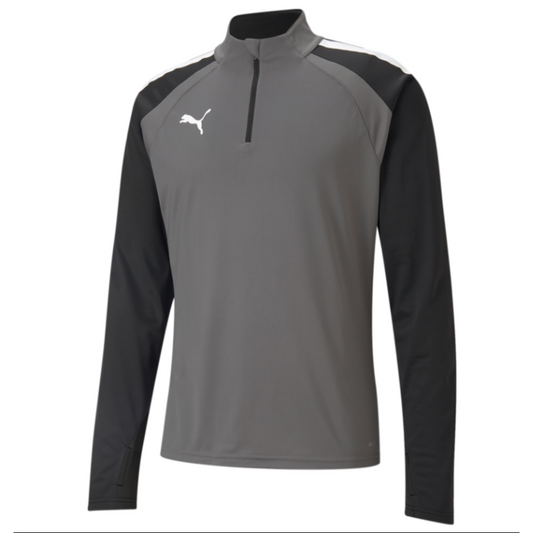 Puma Team Liga 25 1/4 Zip Top-Gray