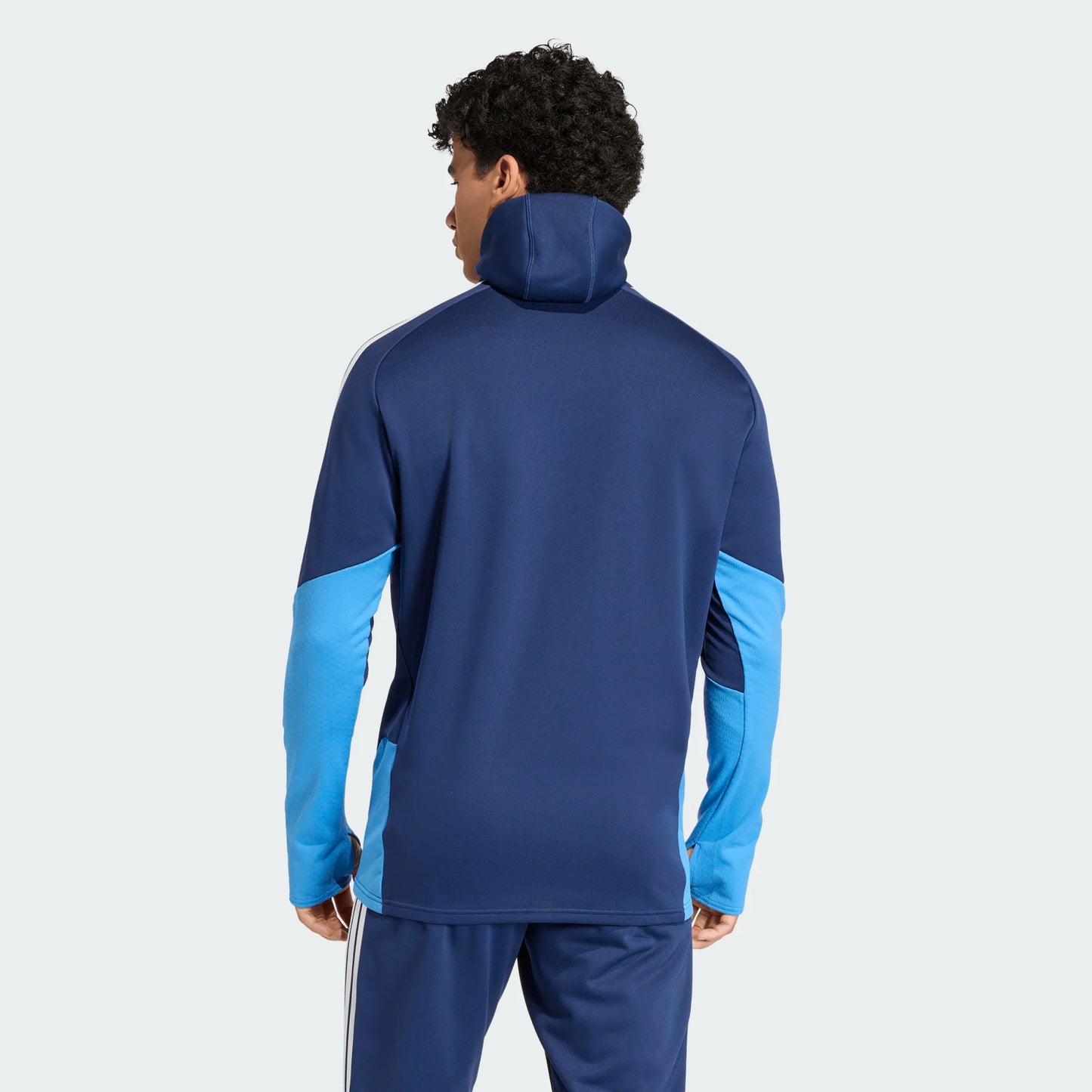 adidas Men’s TIRO2 26 Competition Winterized Top Team Royal Blue Back