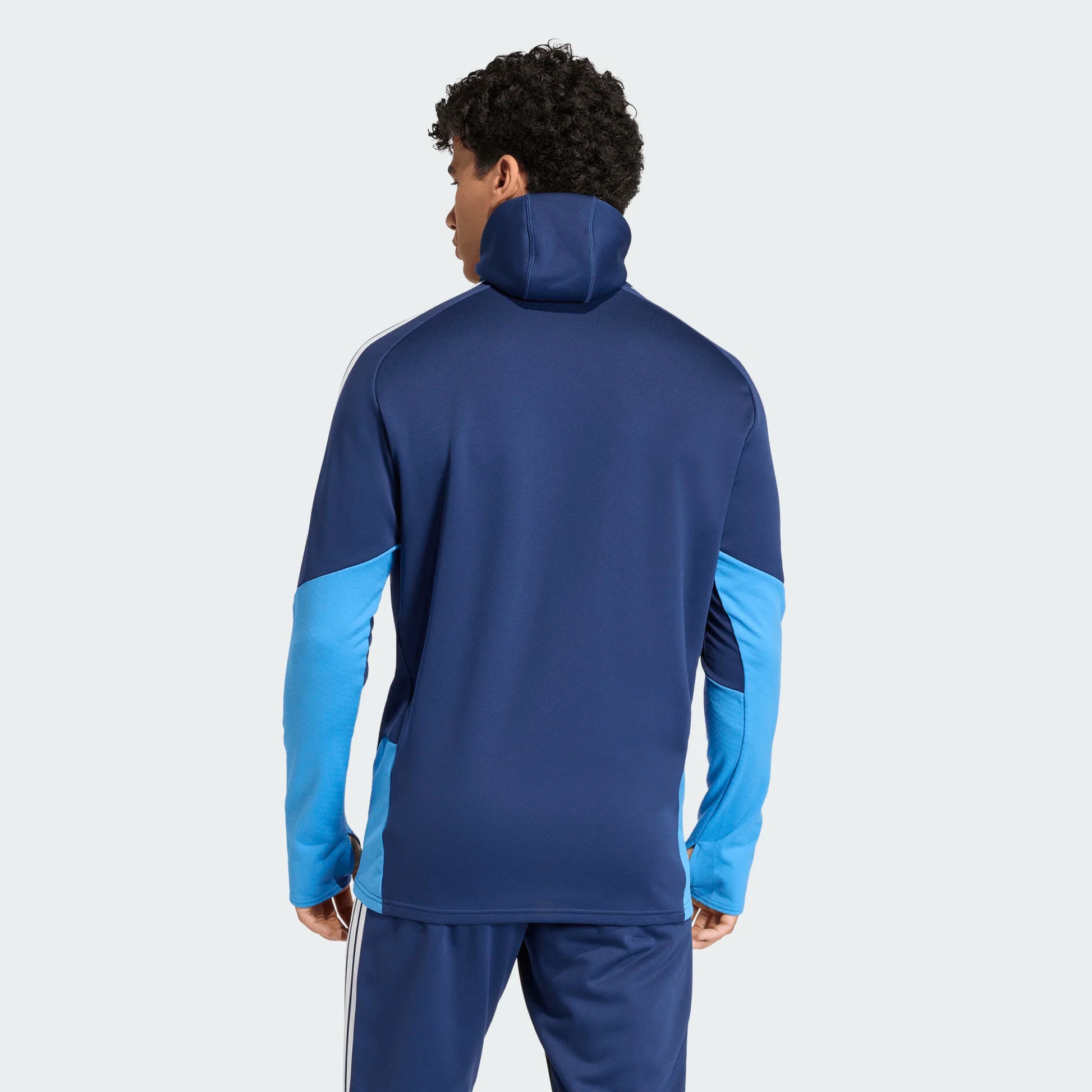 adidas Men’s TIRO2 26 Competition Winterized Top Team Royal Blue Back