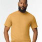 Gilden Mens Softstyle Midweight T-Shirt