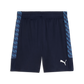 Puma Men’s TEAM LIGA 26 Coaches Shorts