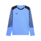 Puma Men's TeamLIGA 26 GK Jersey