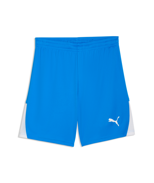 Puma Men’s TeamLIGA 26 Shorts