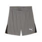 Puma Men’s TeamLIGA 26 Shorts