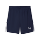 Puma Men’s TeamLIGA 26 Shorts