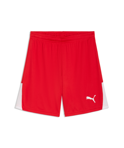 Puma Men’s TeamLIGA 26 Shorts