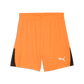 Puma Men’s TeamLIGA 26 Shorts