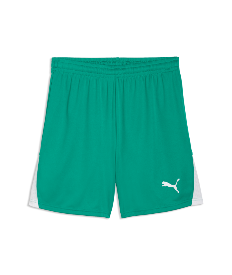 Puma Men’s TeamLIGA 26 Shorts