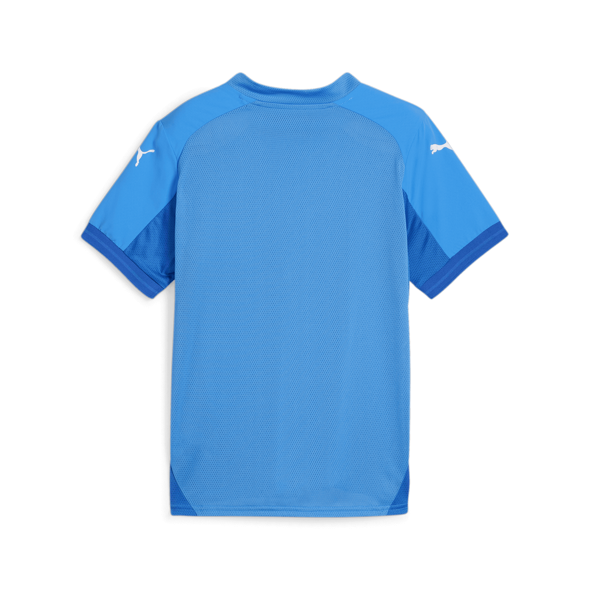 Blue-Puma White-Puma Team Royal (Back)