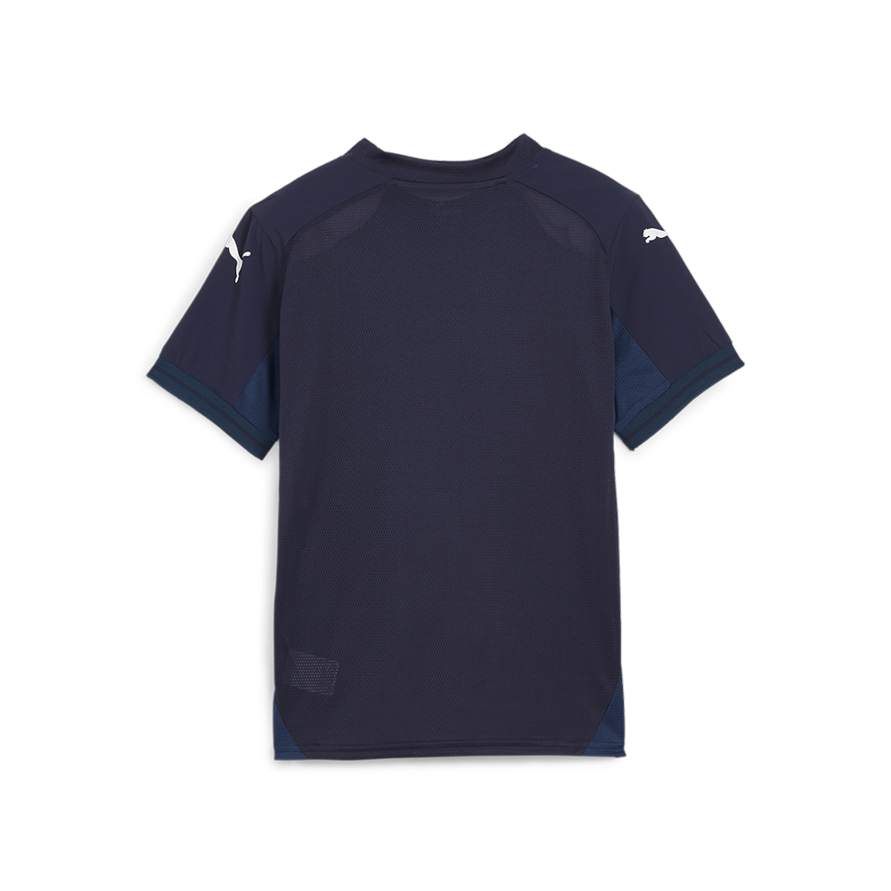 Puma Youth Team Final Jersey – Pro Soccer Team Store