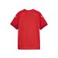 Puma Team Final Jersey Youth Puma Red-Puma White-Fast Red (Back)