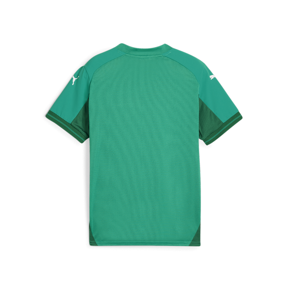 Puma Team Final Jersey Youth Sport Green-Puma White-Power Green (Back)
