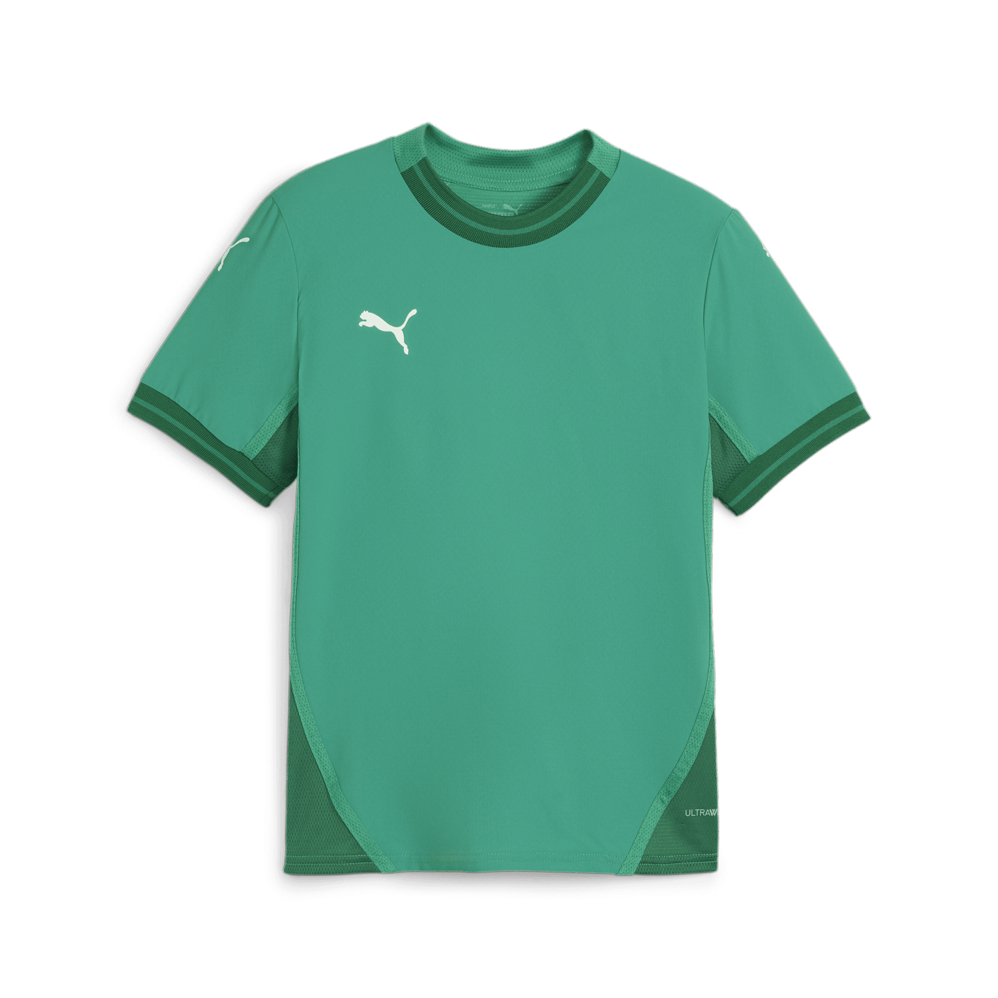 Puma Team Final Jersey Youth Sport Green-Puma White-Power Green (Front)