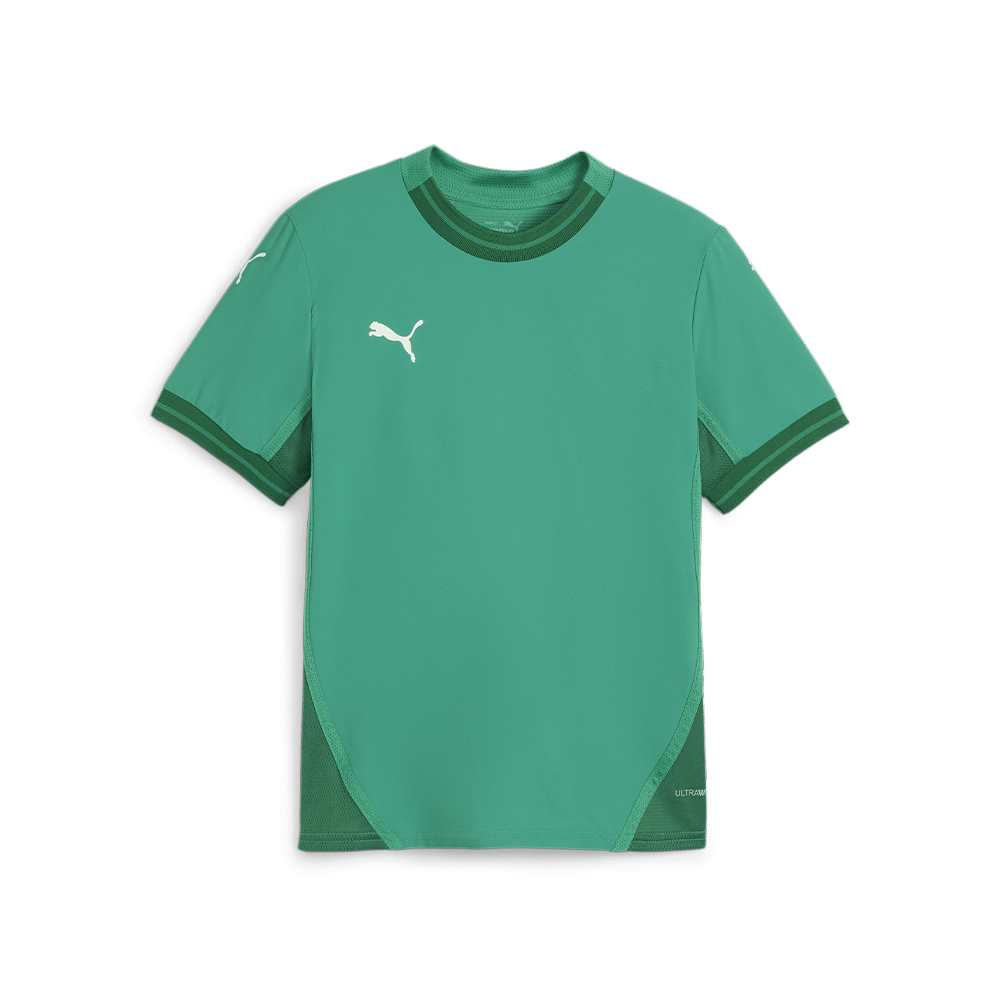 Puma Team Final Jersey Youth Sport Green-Puma White-Power Green (Front)