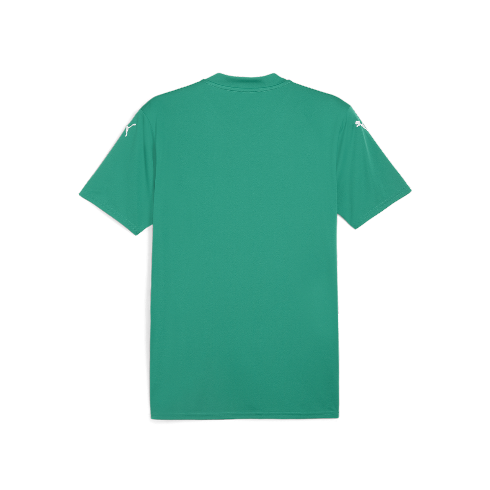 Puma YOUTH Team Goal 26 Jersey- Sport Green-Puma  White-Power Green.(Back)