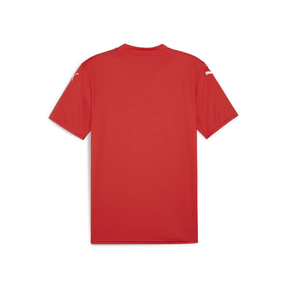 Puma YOUTH Team Glory 26 Jersey- Puma Red-Puma White-Strong Red (Back)