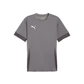 Puma YOUTH Team Goal Matchday Jersey-Cast Iron-Puma White-Shadwo Gray (Front)