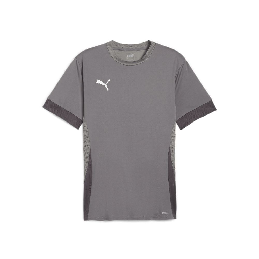 Puma YOUTH Team Goal Matchday Jersey-Cast Iron-Puma White-Shadwo Gray (Front)