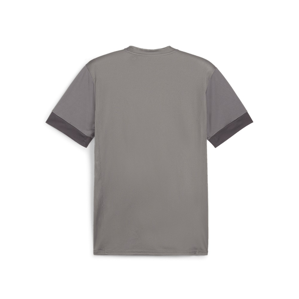 Puma Team Goal Matchday Jersey-Cast Iron-Puma White-Shadwo Gray (Back)
