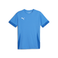 Puma YOUTH Team Goal Matchday Jersey Lemondae-Puma White-Puma-Team Royal (Front)