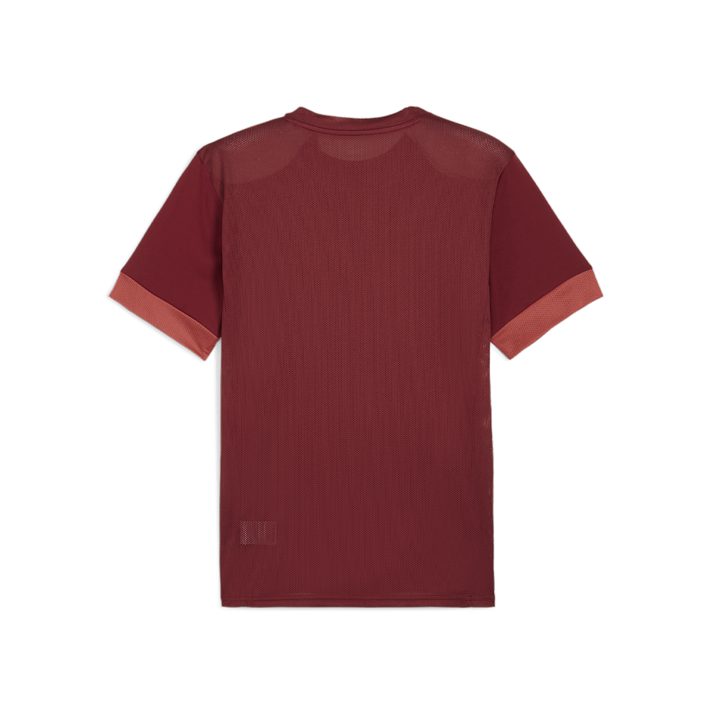 Puma Team Goal Matchday Jersey-Team Regal Red-Puma White-Astro Red (Back)