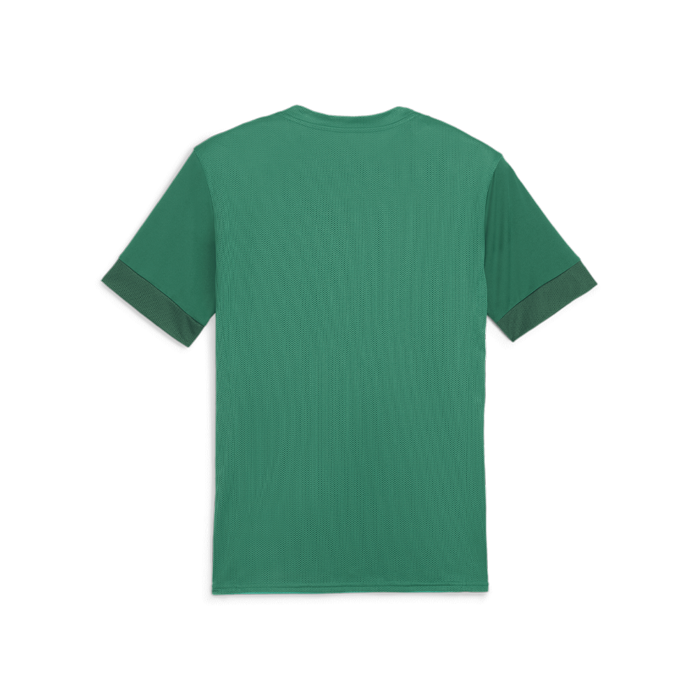Puma Team Goal Matchday Jersey-Sport Green-Puma White-Power Green (Back)