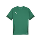 Puma YOUTH Team Goal Matchday Jersey-(Front)