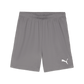 Puma Team Goal Shorts-Cast Iron-Puma White 