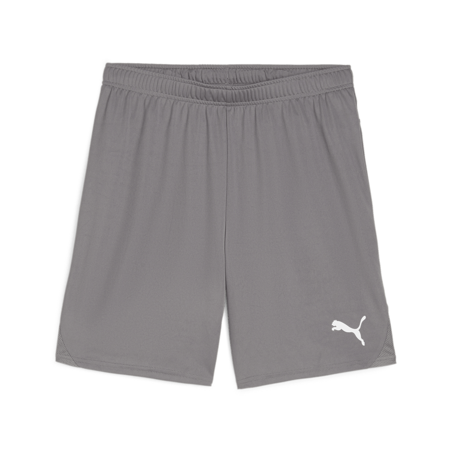 Puma Team Goal Shorts-Cast Iron-Puma White 