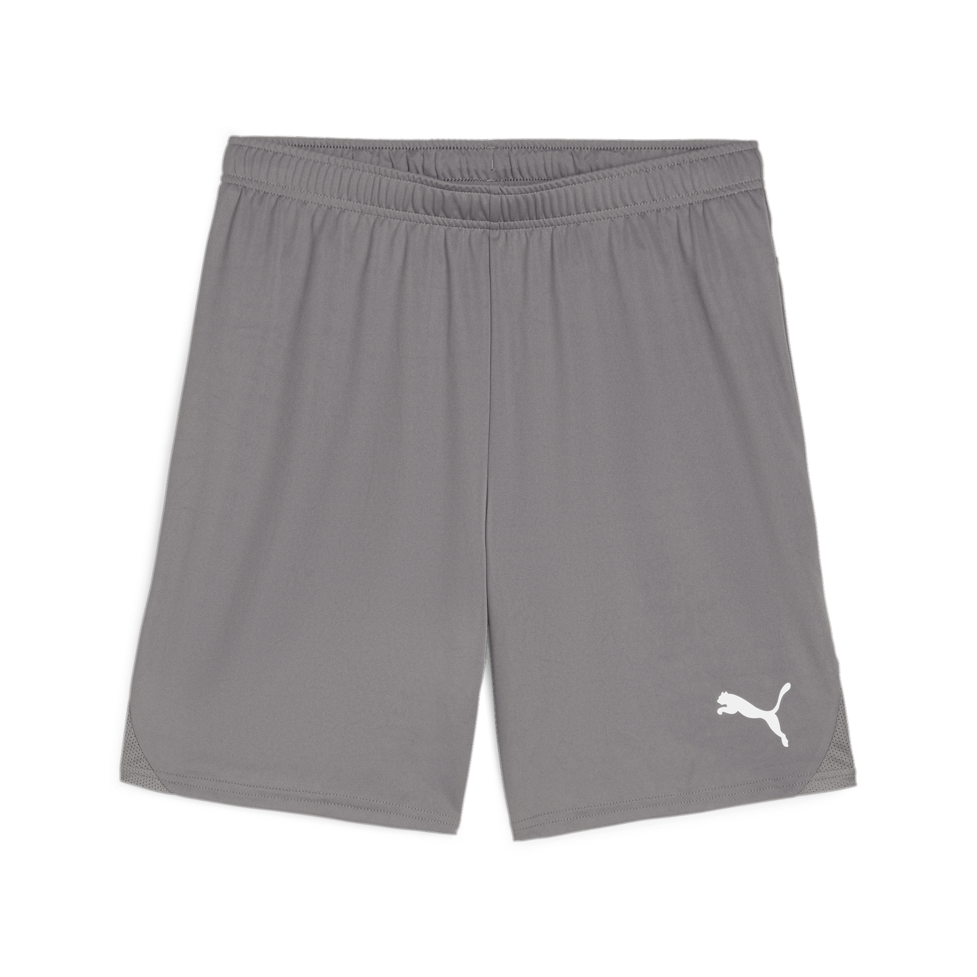 Puma Team Goal Shorts-Cast Iron-Puma White 