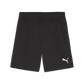 Puma Team Goal Shorts-Puma Black-Puma White