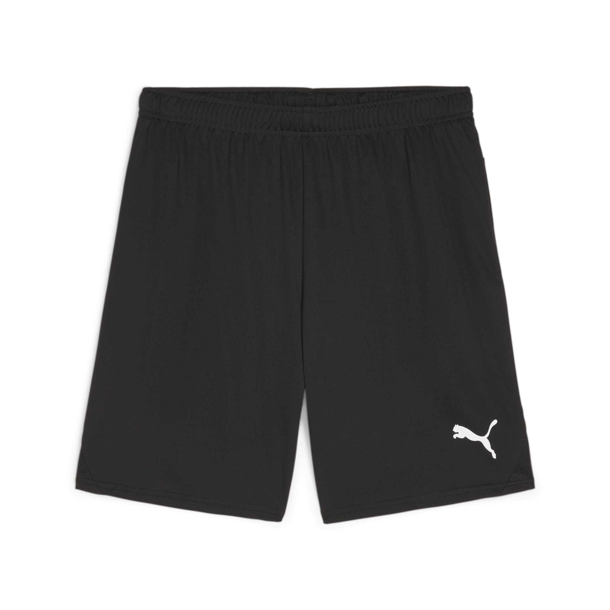 Puma Team Goal Shorts-Puma Black-Puma White