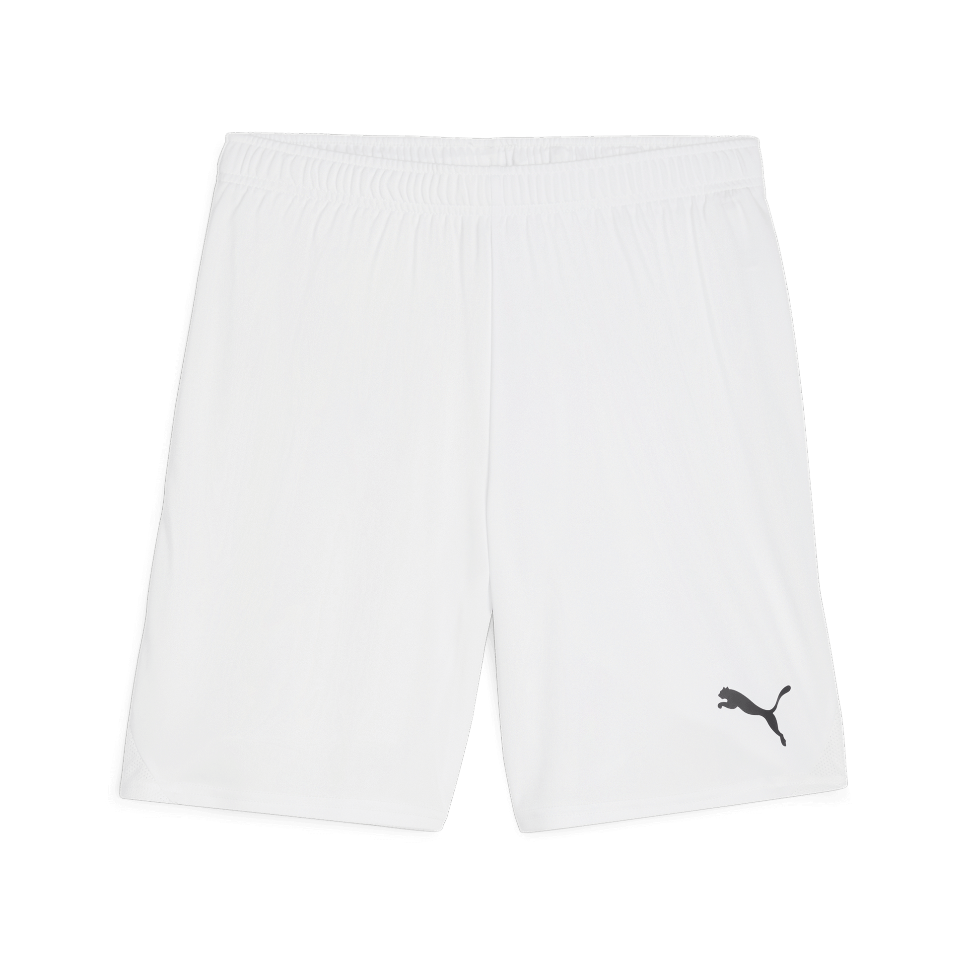 Puma Team Goal Shorts-Puma Red-Puma White