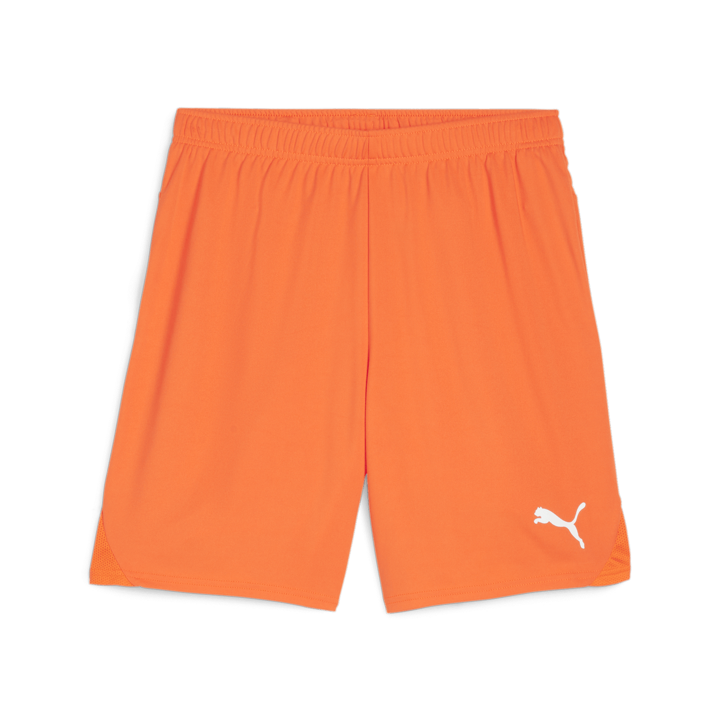 Puma Team Goal Shorts-Ricki Orange-Puma White