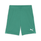 Puma Team Goal Shorts-Sport Green-Puma White 