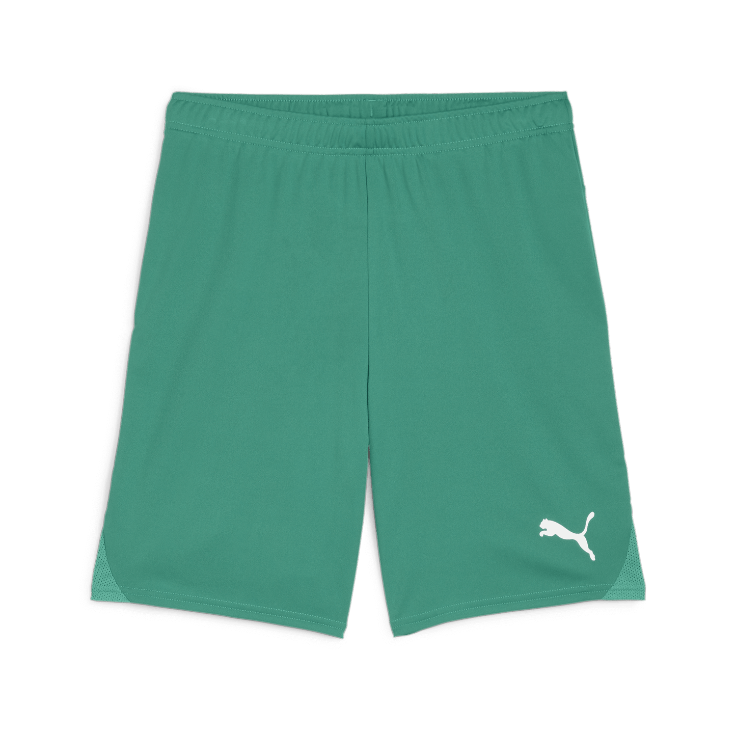 Puma Team Goal Shorts-Sport Green-Puma White 