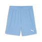 Puma Team Goal Shorts-Team Light Blue-Puma White 