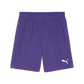 Puma Team Goal Shorts-Team Violet-Puma White 