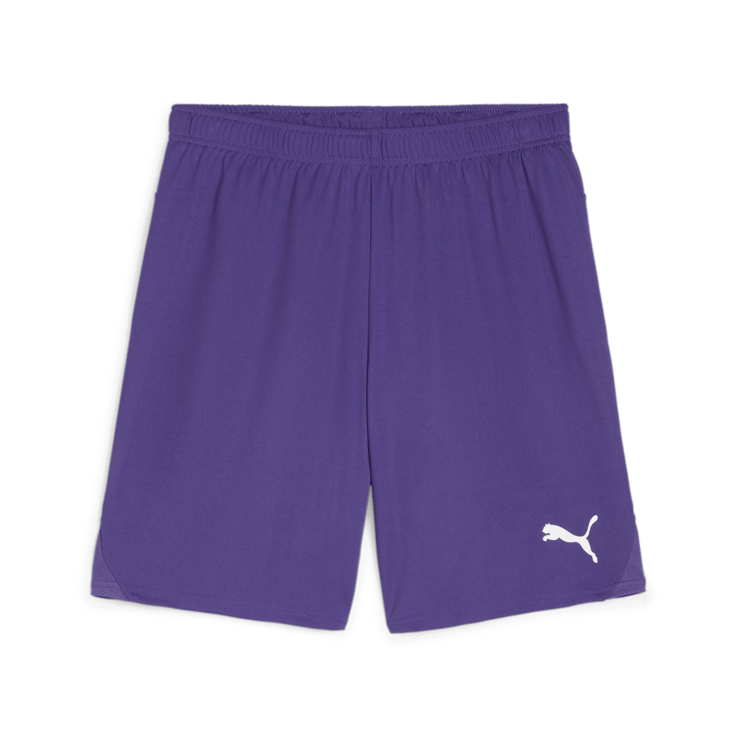 Puma Team Goal Shorts-Team Violet-Puma White 