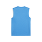 Puma Team Goal Sleeveless Jersey Puma Red-Electric Blue-Lemondae-Puma White-Puma Team Royal (Back)